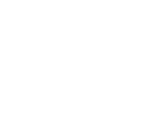 lifan